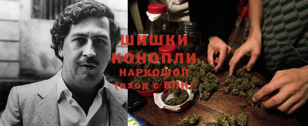 амф Приозерск